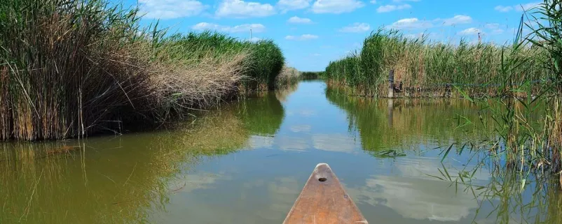 Neusiedler See von einem Boot aus gesehen