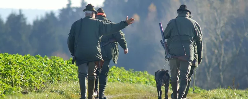 Jäger gehen auf die Jagd in NÖ