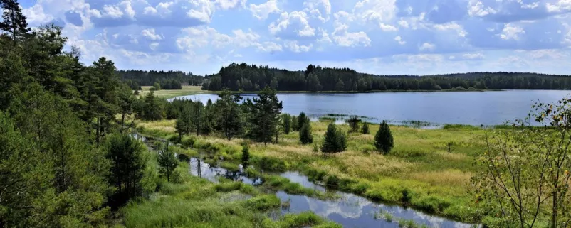 Blick auf grüne Landschaft mit See in Niederösterreich