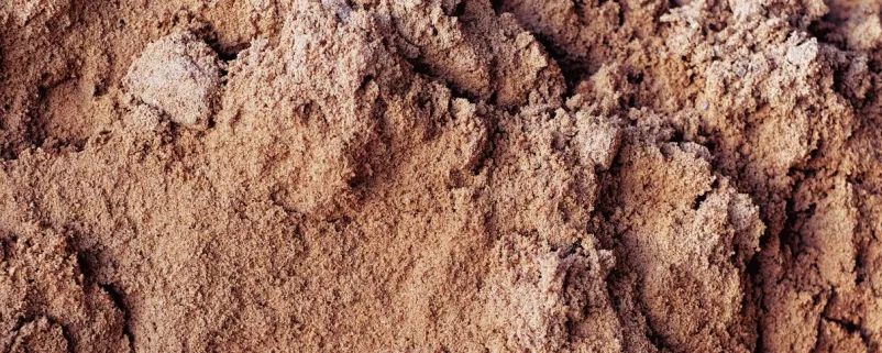 Foto von brauner Erde am Boden