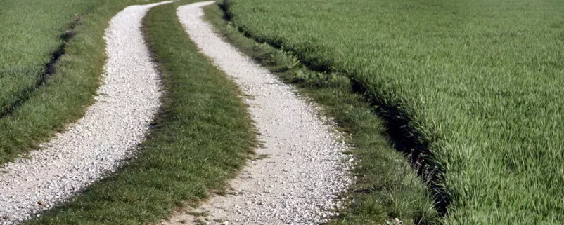 Feldweg in Oberösterreich