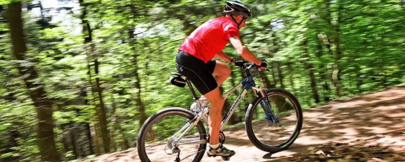 Radfahrer fährt im Wald