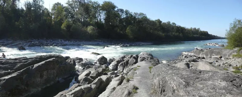 Blick auf die Salzach
