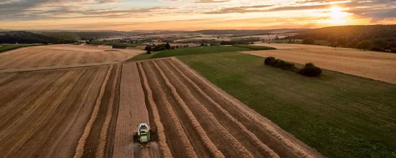 Blick auf ein Feld beim Umpflügen