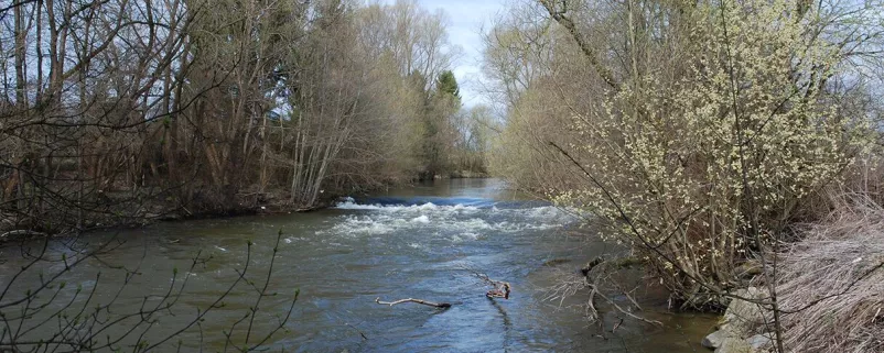 Fluss mit Bäumen am Rand im Herbst