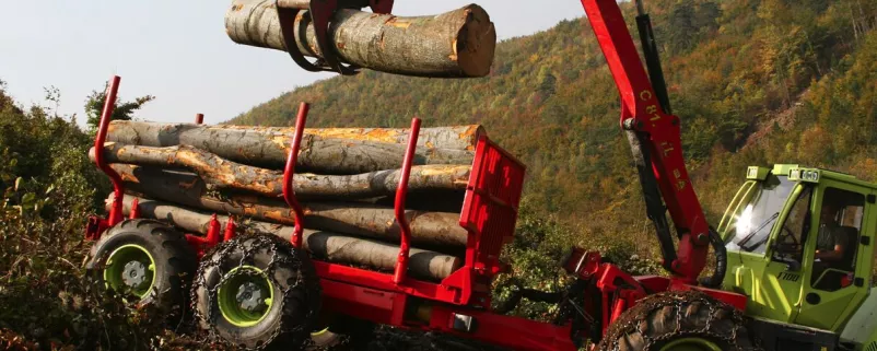 Baumstämme werden auf Laster geladen