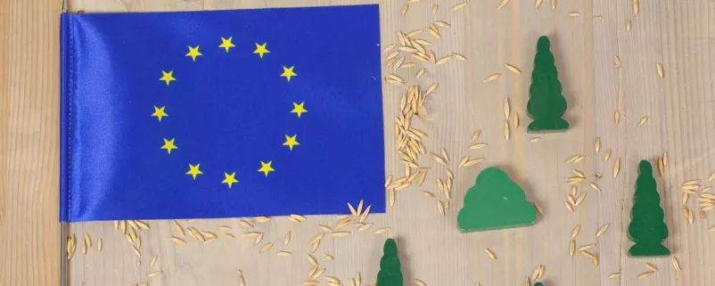 Europaflagge, Samen und Baumsymbole