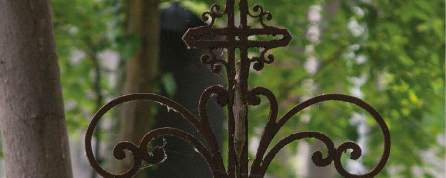 Urnenbestattung im Wald erregt Gemüter | KOMMUNAL