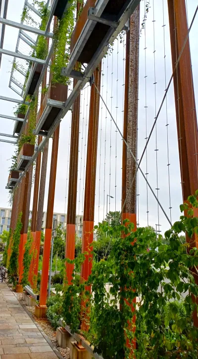 Begrünung der BH Neunkirchen