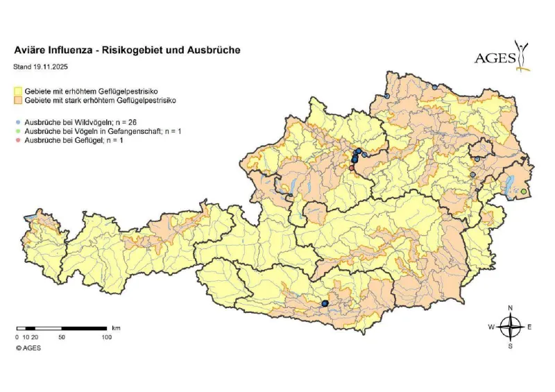 Grafik zur Hühnergrippe
