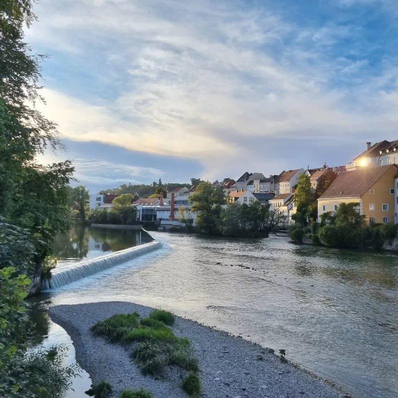 Steyr