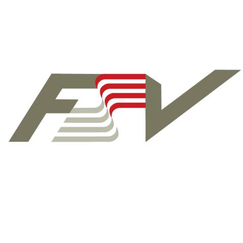 Logo FSV