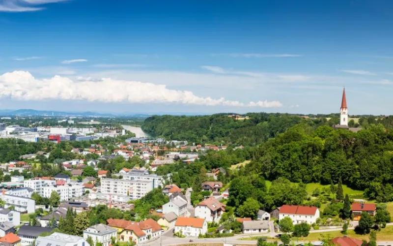 Wels undThalham