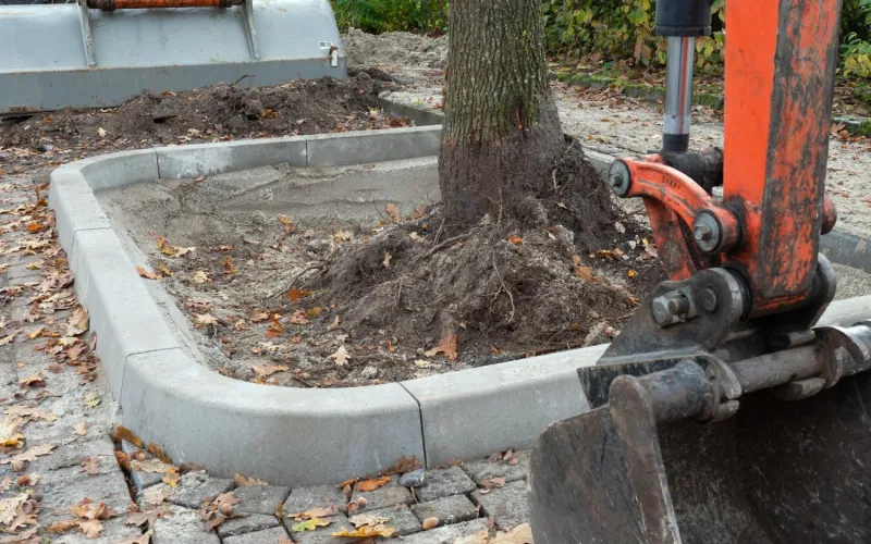 Entsiegelung Baumscheibe - Baumaschinen und vergrößerte Baumgrube mit Einfassung am Straßenrand