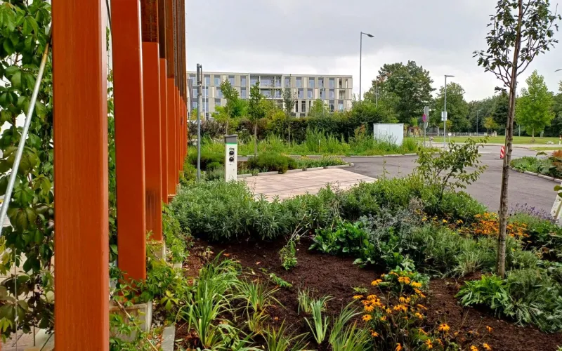 Begrünung der BH Neunkirchen