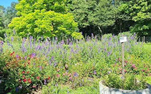 Klimaschutzgarten in Gosdorf