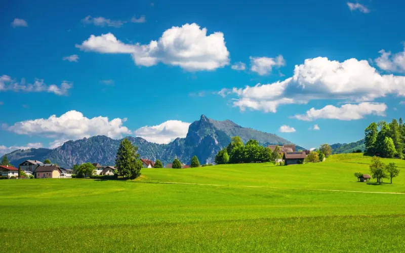 Landschaftspanorama mit grüner Wiese und dem Traunstein