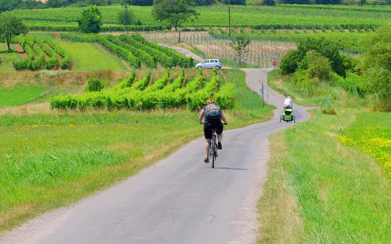 Radfahrer im Burgenland