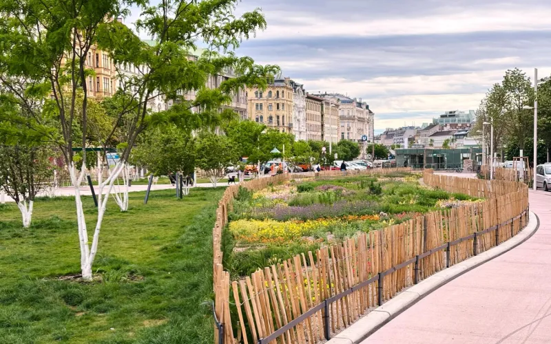 Innerstädtische Begrünung in Wien