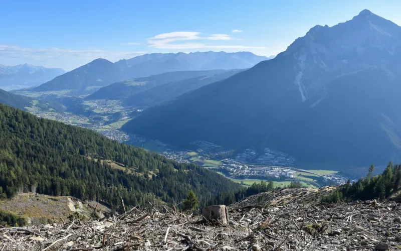 Schäden an einem Schutzwald