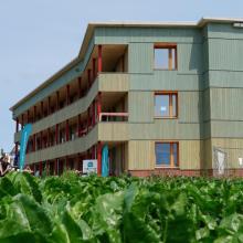 Haus des Gebäudetyps E