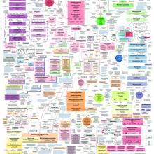 Grafik des politischen Systemes