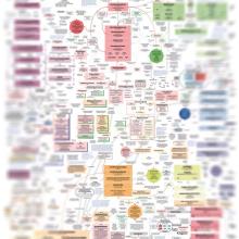 Grafik des politischen Systemes